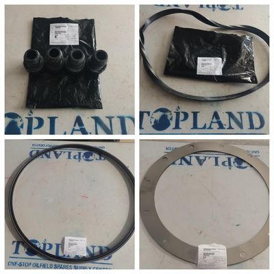 Glyd Seal Ring (7818898) Ps-500a Top Drive Spare Parts for Drilling