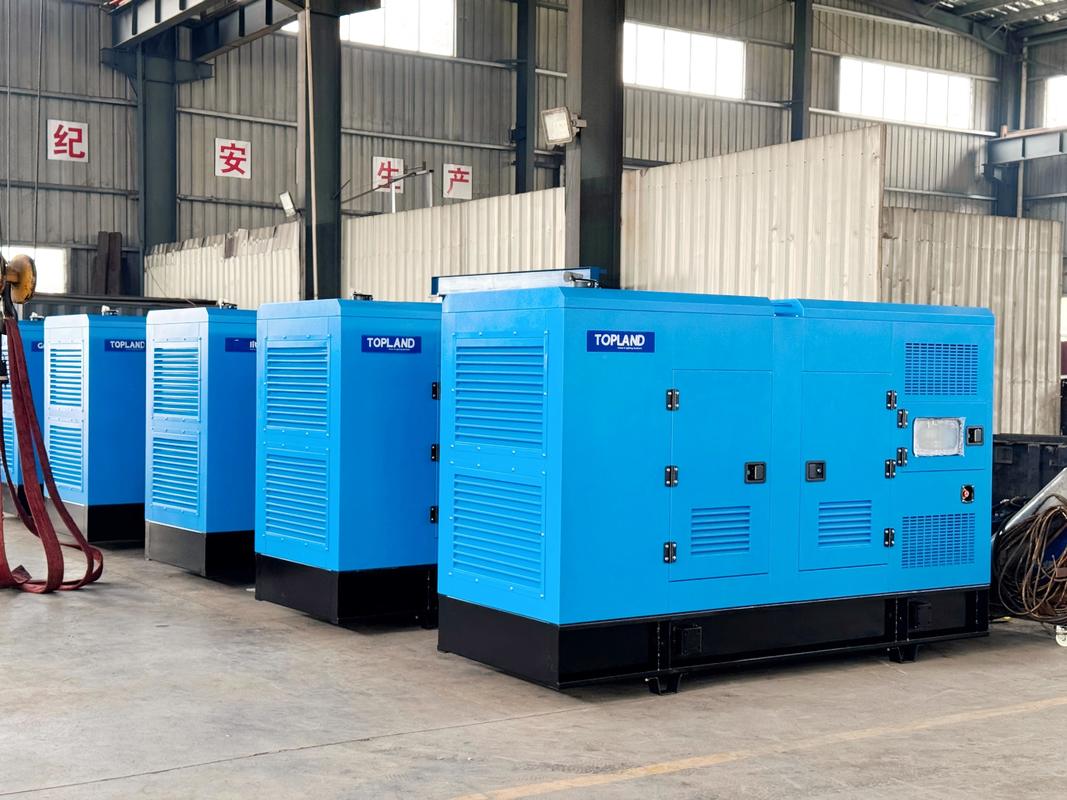 Topland Industrial Diesel Generator for Reliable Power Supply in Harsh Oil Drilling Environments